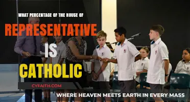 Catholic Representation in the House of Representatives: A Percentage Breakdown