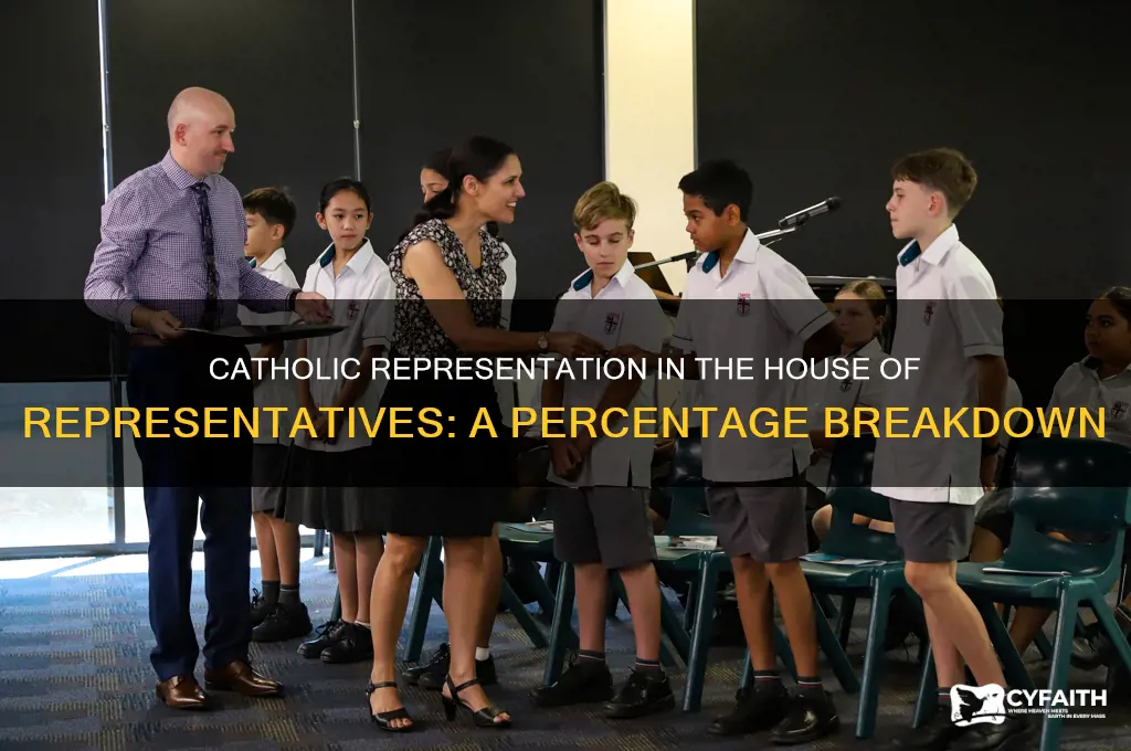 what percentage of the house of representatives is catholic