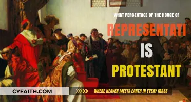 Protestant Representation in the House: A Demographic Breakdown