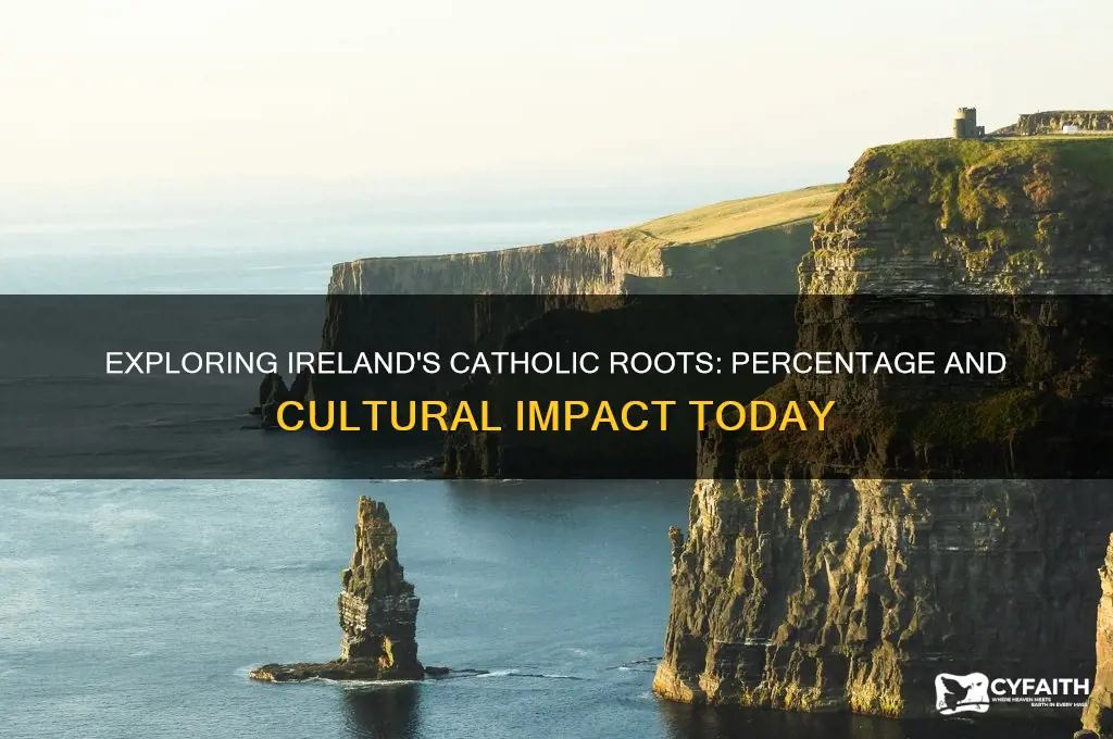what percentage of the republic of ireland is catholic