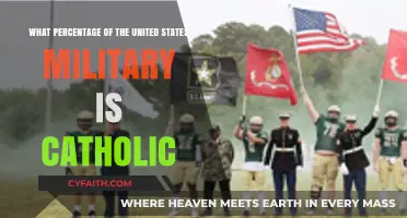 Exploring the Catholic Presence in the U.S. Military Today