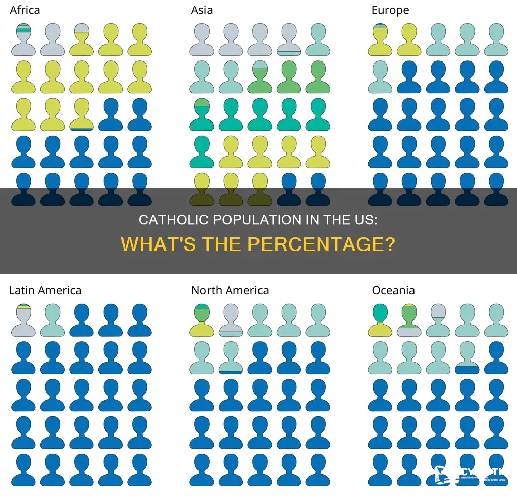 what percentage of us population is catholic