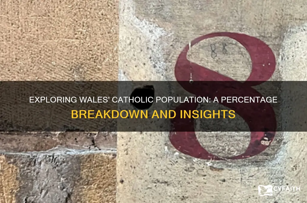 what percentage of wales is catholic