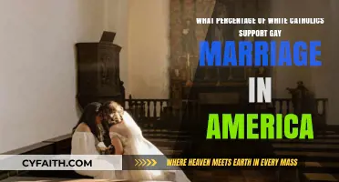 White Catholic Support for Gay Marriage: Trends in America