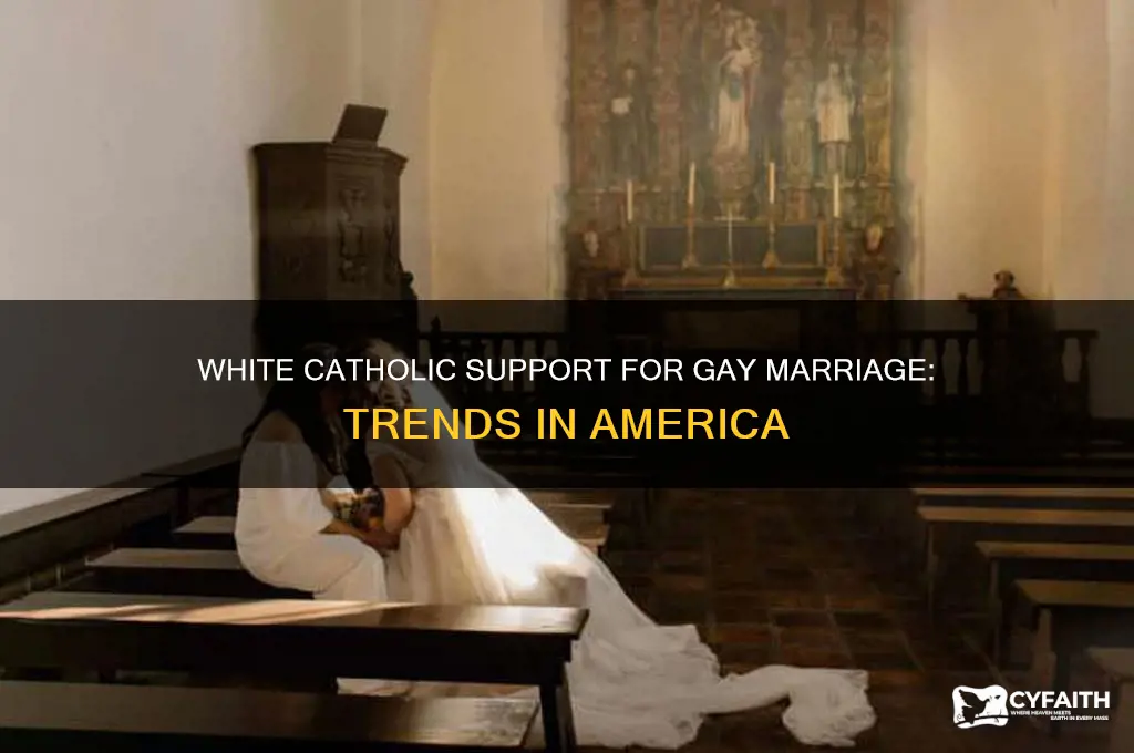 what percentage of white catholics support gay marriage in america