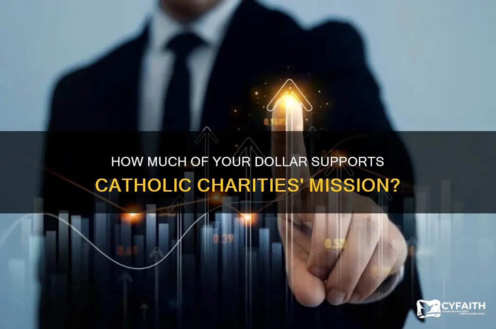 what percentage of your dollar catholic charities