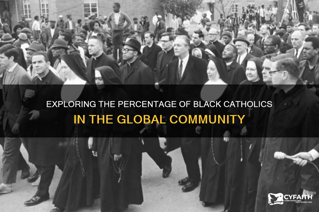 what percentage og black people are catholic
