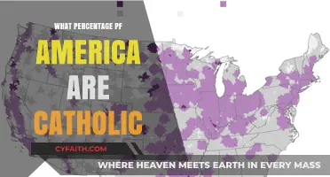 Exploring the Catholic Population: What Percentage of America Identifies as Catholic?