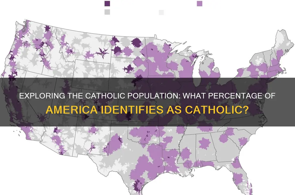what percentage pf america are catholic