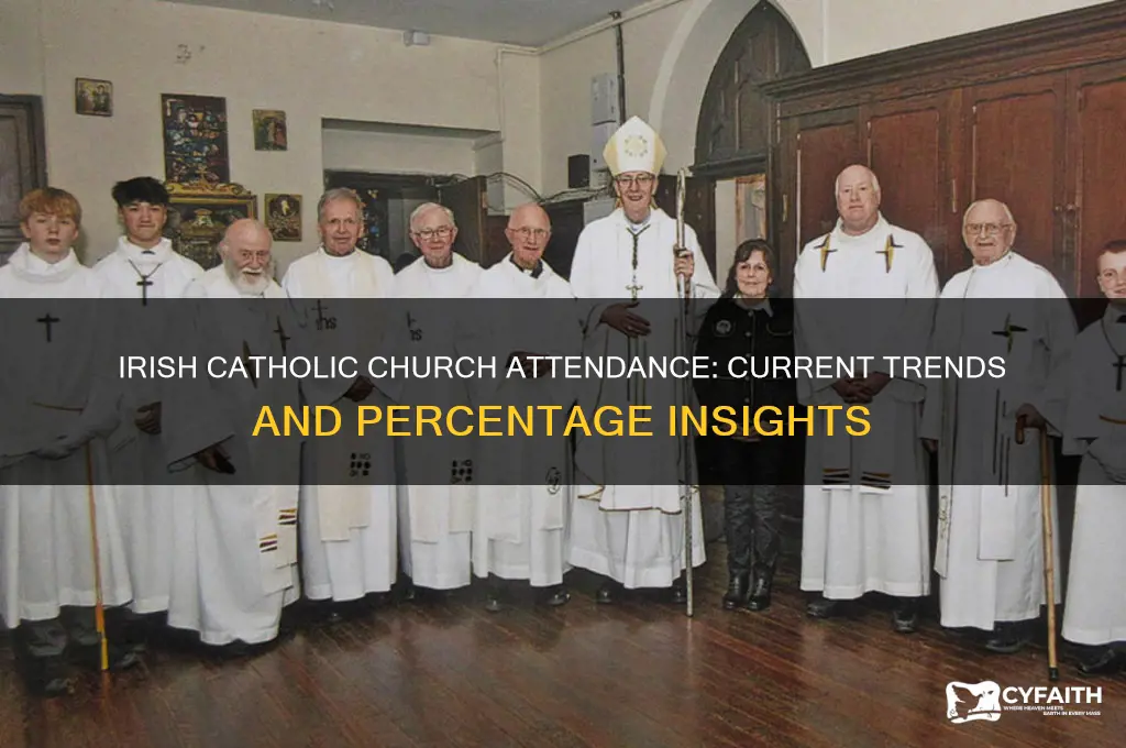 what percentagebof the irish go to catholic chuch