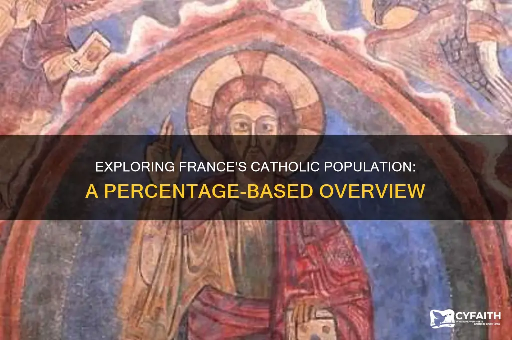 what percentageof france is catholic