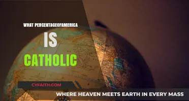 Exploring the Catholic Population: What Percentage of America is Catholic?