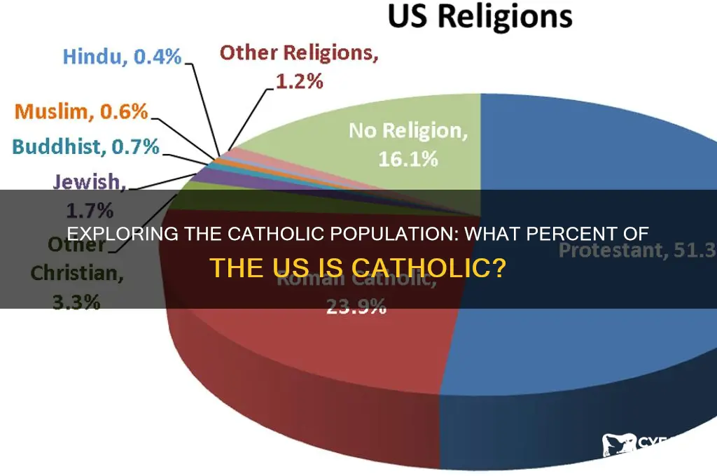 what perecent of the us is catholic