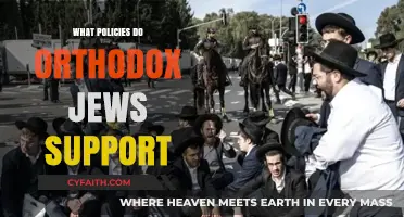 Orthodox Jewish Political Priorities: Policies and Values They Advocate For