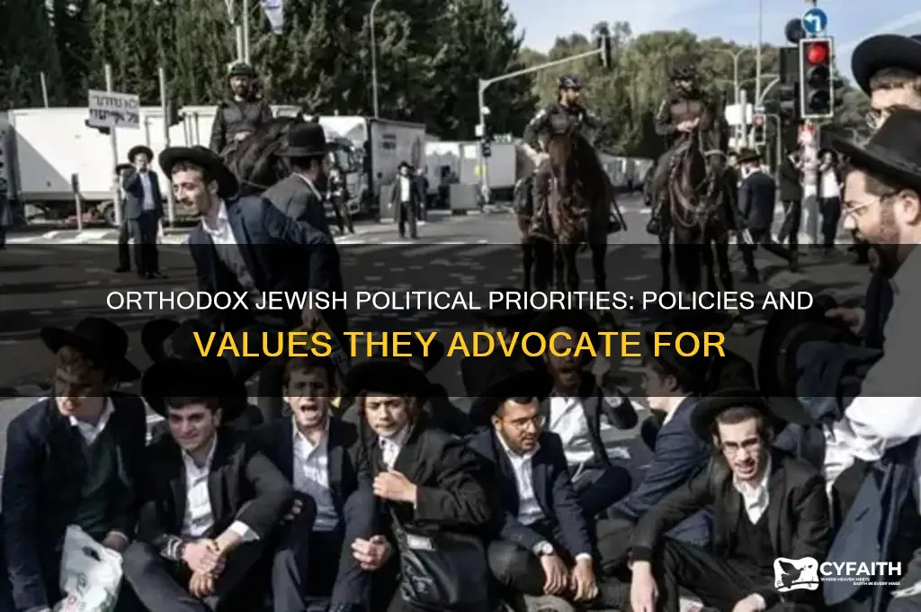 what policies do orthodox jews support
