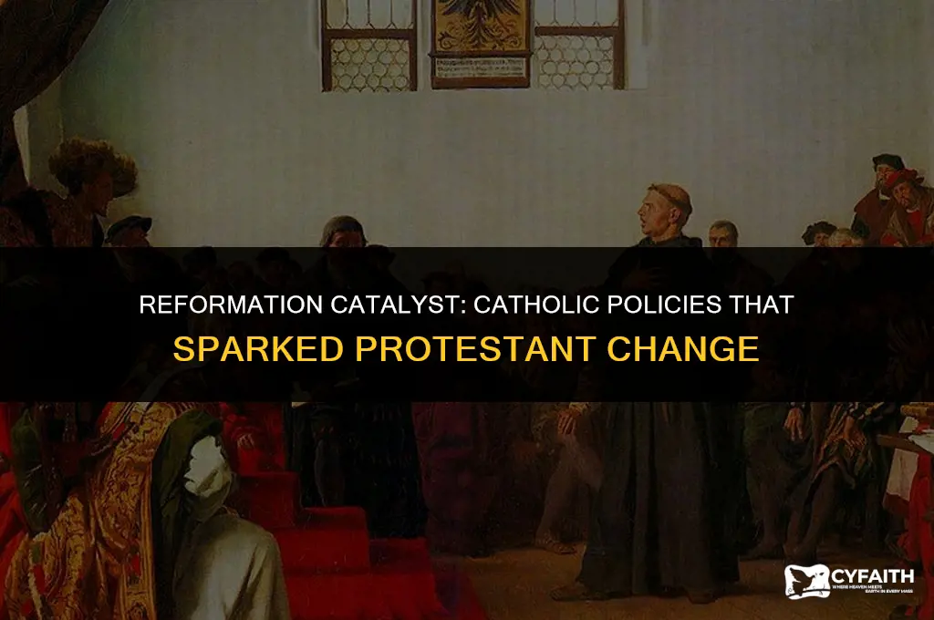 what policies of the catholic church inspired the protestant reformation