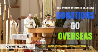 Catholic Charitable Donations: How Much Goes Overseas?