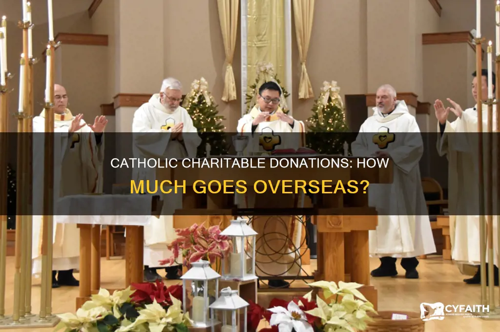 what portion of catholic charitable donations go overseas