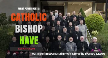Understanding the Authority and Influence of a Catholic Bishop
