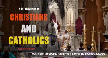 Christian and Catholic Practices: Shared Traditions and Distinctive Faith Expressions