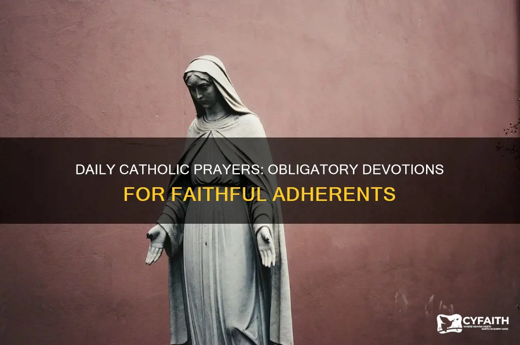 what prayers are catholics obliged to say daily