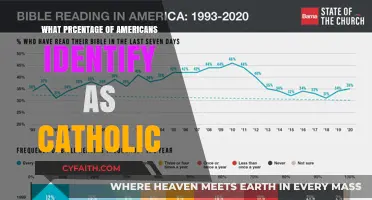 How Many Americans Identify as Catholic Today: Surprising Statistics