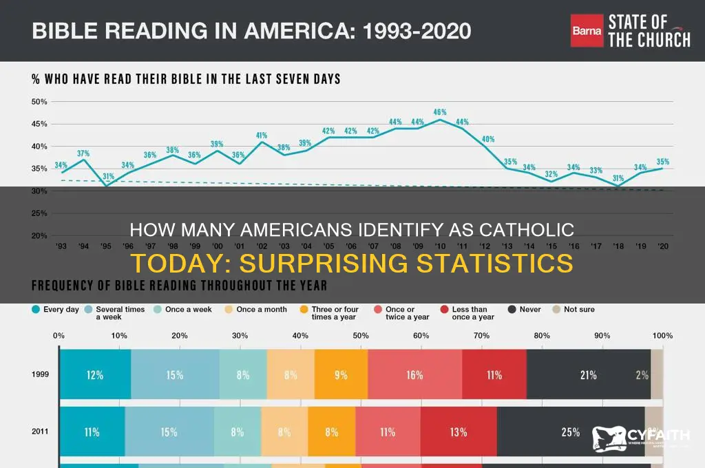 what prcentage of americans identify as catholic