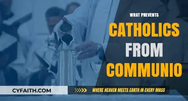 Understanding the Barriers: Why Some Catholics Cannot Receive Communion