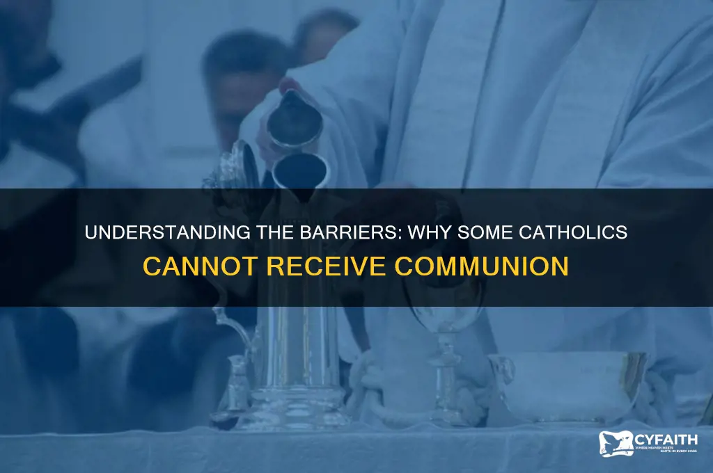 what prevents catholics from communion