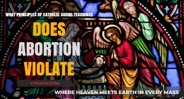 Abortion and Catholic Social Teachings: Exploring the Violated Principles