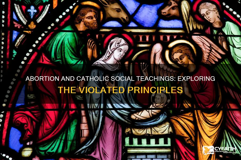 what principles of catholic social teachings does abortion violate