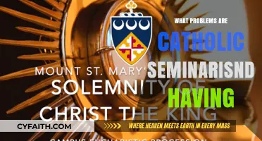 Challenges Facing Catholic Seminaries: Declining Vocations, Financial Struggles, and Modernization