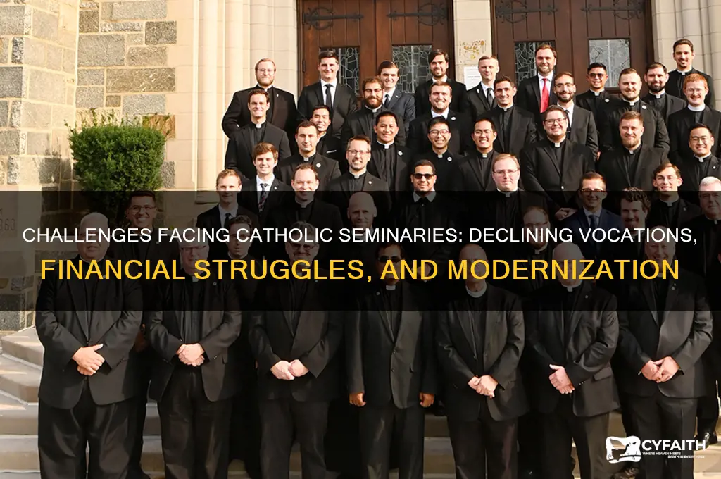 what problems are catholic seminarisnd having