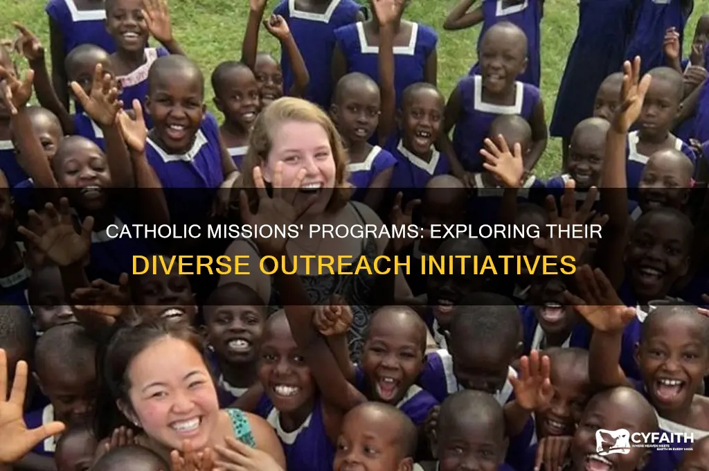 what programs do catholic mission run