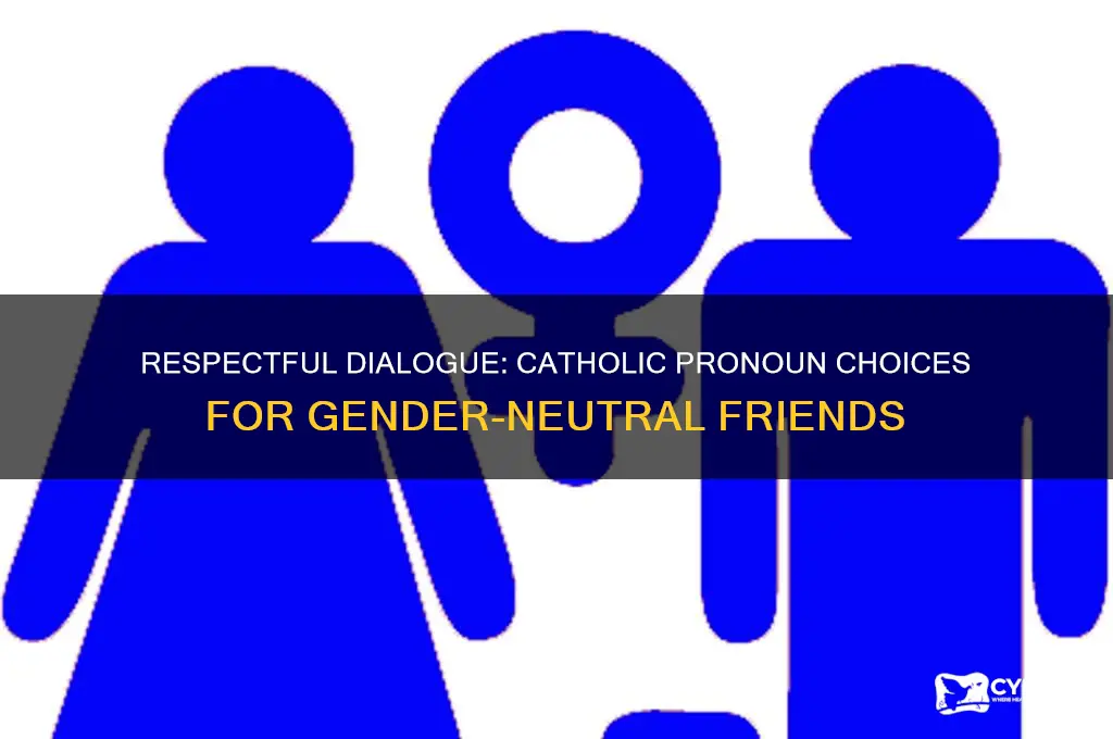 what pronouns should catholics use with gender neutral friends