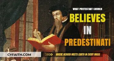 Exploring Predestination: A Deep Dive into Protestant Doctrines