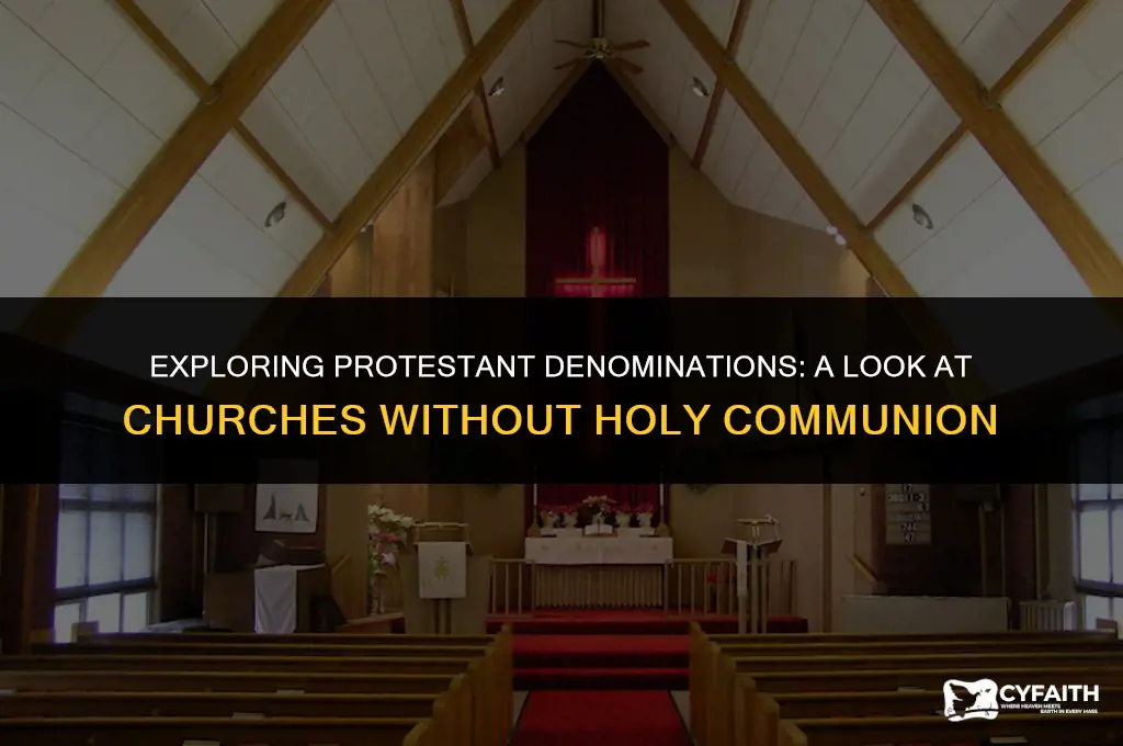 what protestant church does not believe in the holy communion