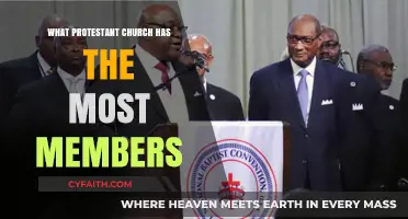 Exploring the Largest Protestant Denominations: A Membership Overview