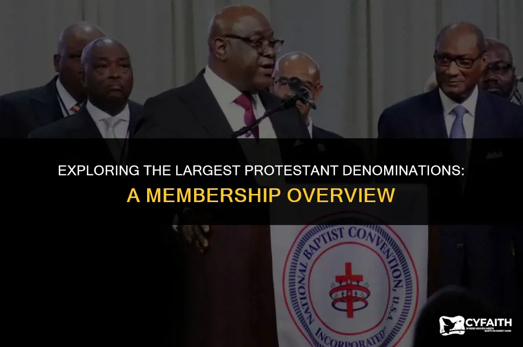 what protestant church has the most members
