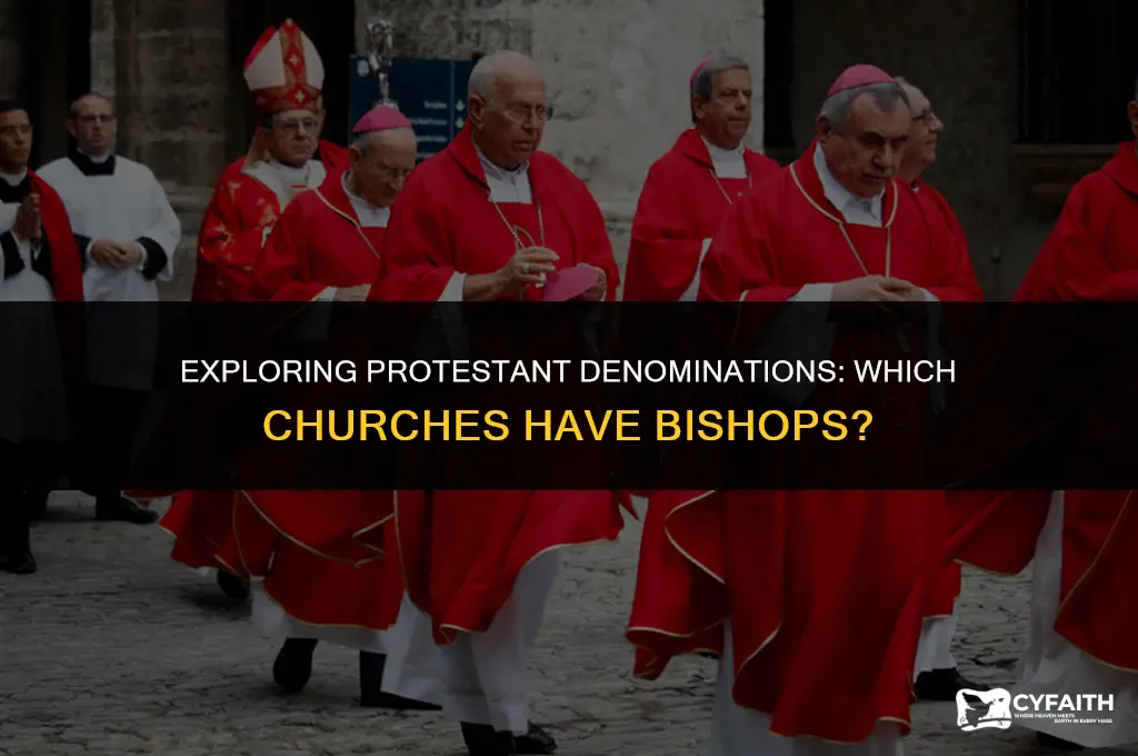what protestant churches have bishops