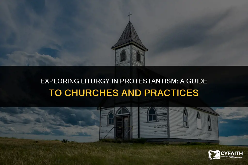 what protestant churches use liturgy