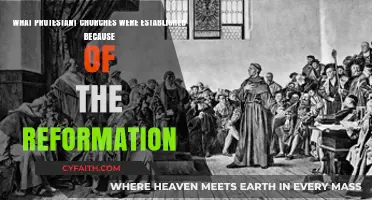 From Luther to Calvin: The Birth of Protestant Churches