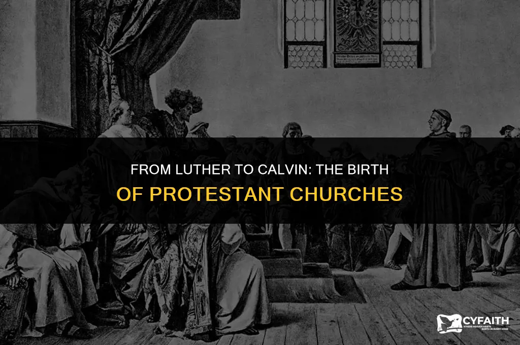 what protestant churches were established because of the reformation