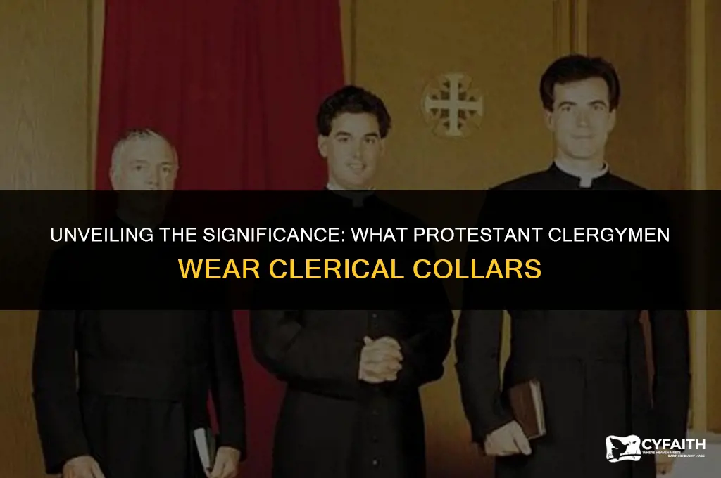 what protestant clergymen wear clerical collars