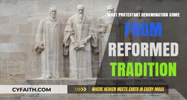 Exploring the Roots: Protestant Denominations from the Reformed Tradition