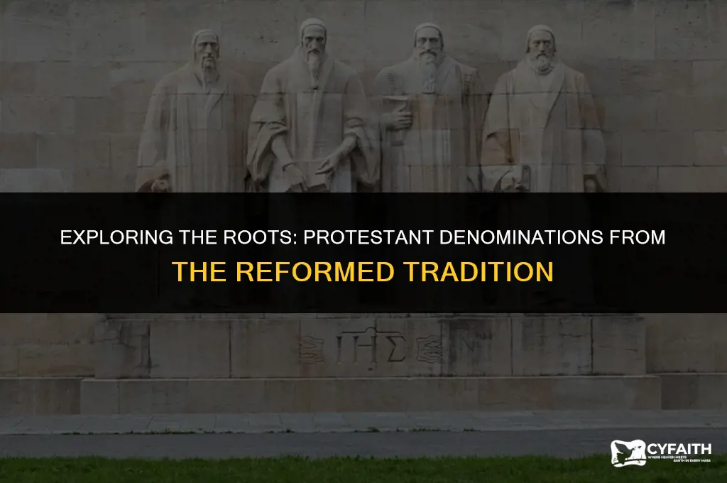 what protestant denomination come from reformed tradition