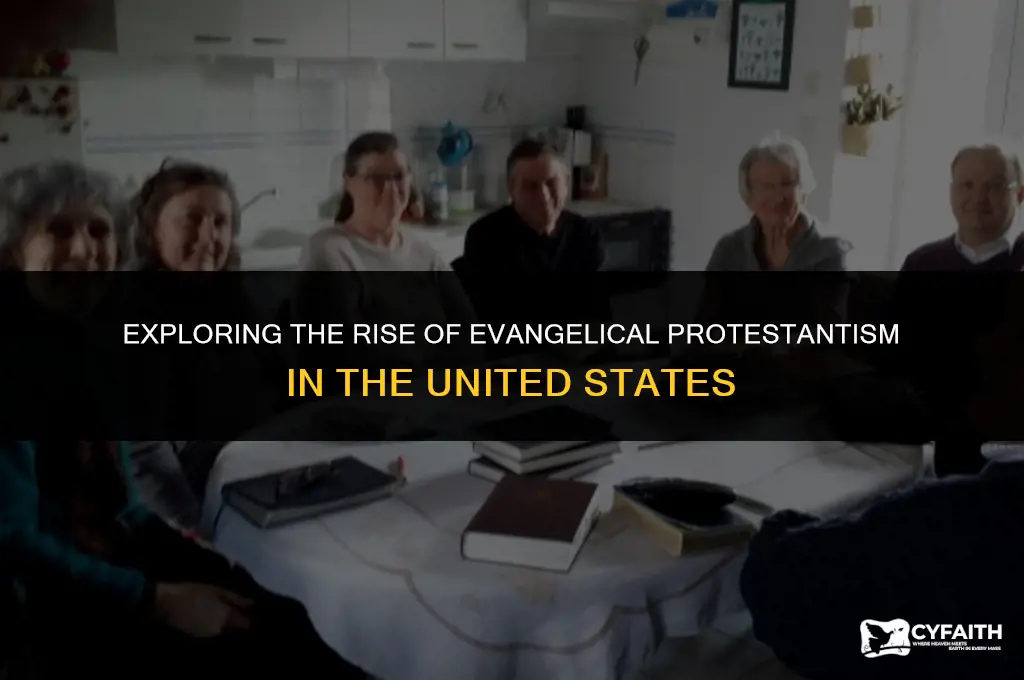 what protestant denomination grew in the united states