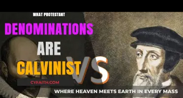 Exploring Calvinist Roots: A Guide to Protestant Denominations