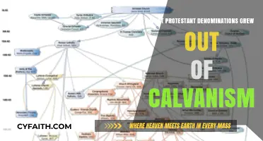 Exploring the Legacy of Calvinism: Key Protestant Denominations That Emerged