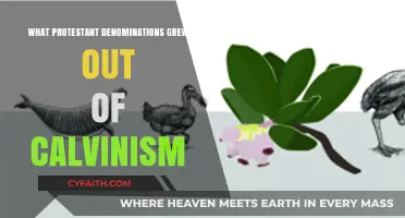 Exploring the Legacy of Calvinism: Key Protestant Denominations That Emerged